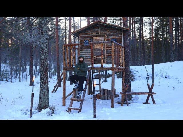 1 Year of Building a Treehouse Alone - From Start to Finish