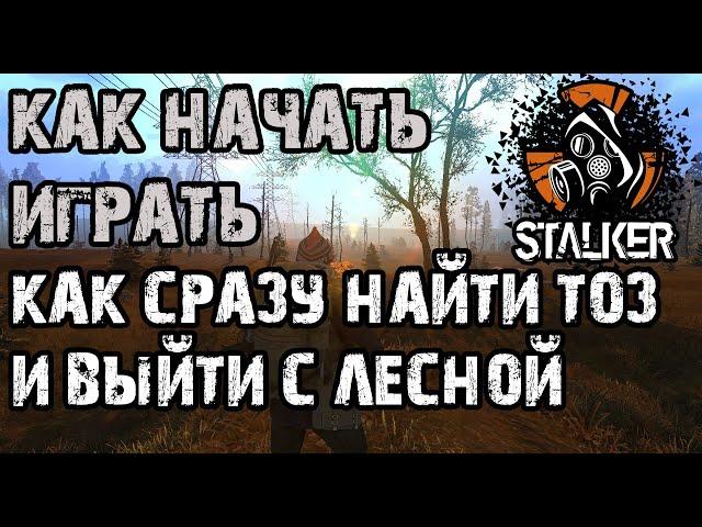 STALKER ONLINE | КАК НАЧАТЬ ИГРАТЬ! КАК СРАЗУ НАЙТИ ТОЗ И ВЫЙТИ С ЛЕСНОЙ!