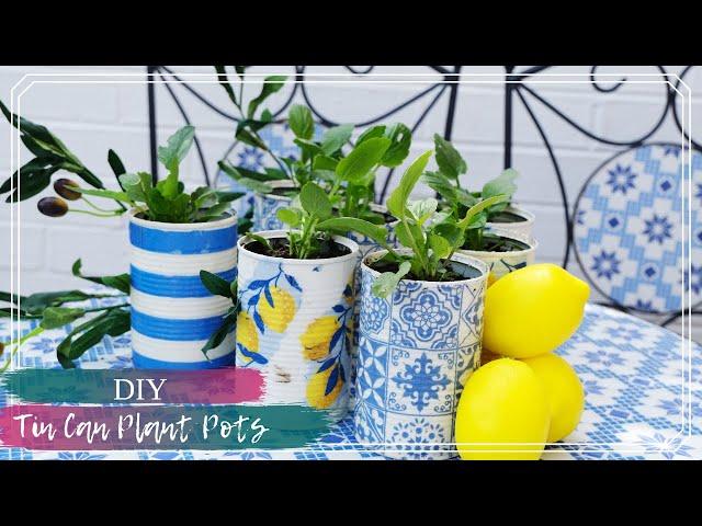 DIY Tin Can Plant Pots | Transforming Tin Cans into Planters | Upcycle Your Rubbish