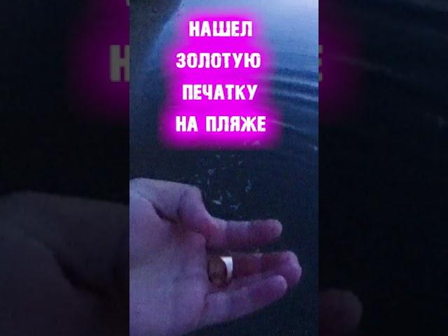 Поиск золота на пляже с металлоискателем.Shorts