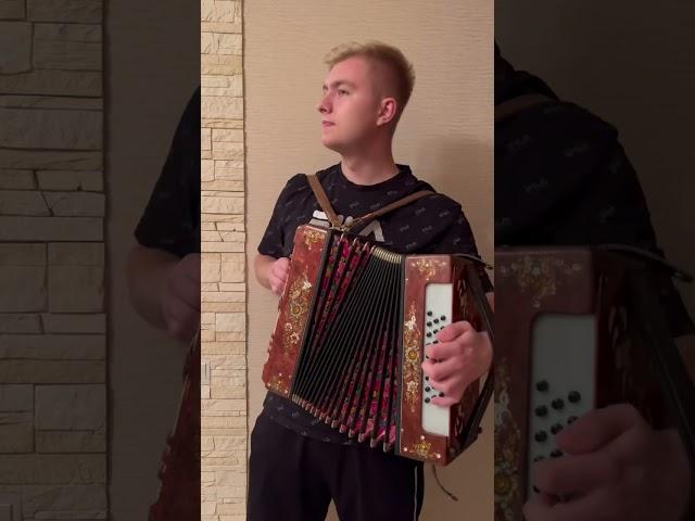 Эх,дороги…