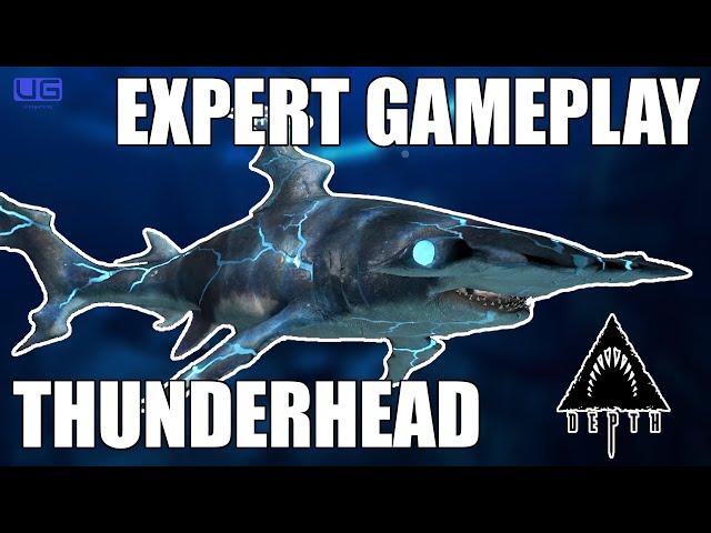 OBLITERATING WITH THE THUNDERHEAD SKIN (NO COMMENTARY) – DEPTH Gameplay 17