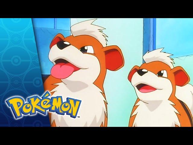 The Case of the K-9 Caper | POKÉMON FULL EPISODE 49 | Season 1