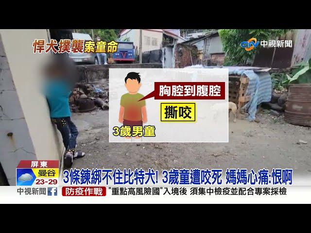 咬死3歲童"胸到腹腔"撕裂 比特犬恐人道毀滅│中視新聞 20211204