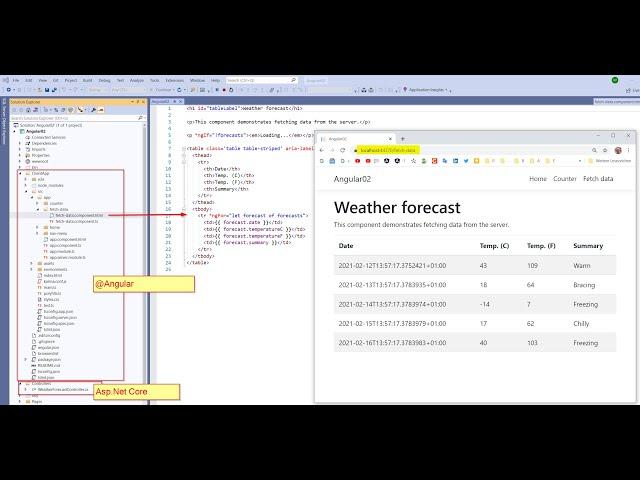  Angular in Asp.Net Core erstellen. Projekt Anwendung Freiberufler