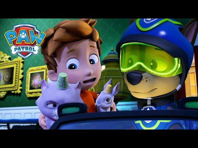 Spy Chase saves Alex's Mini Patrol and more! - PAW Patrol Episode - Cartoons for Kids Compilation