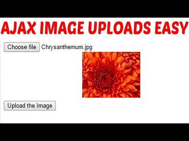 Simple image upload in PHP Jquery Ajax Tutorial with JSON response Example