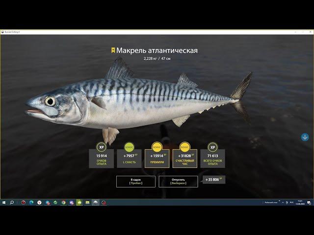 ЗА БЕЗУМНЫМ ФАРМОМ НА МОРЕ В РУССКОЙ РЫБАЛКЕ 4 СТРИМ РОЗЫГРЫШИ РР4