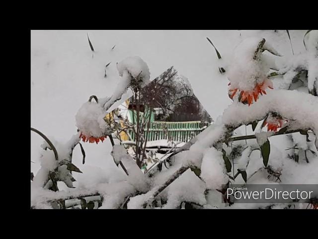 ОНИ всё СИДЯТ и СИДЯТ!!! ТИШИНА и КРАСОТА в Лоркиной деревне!!!