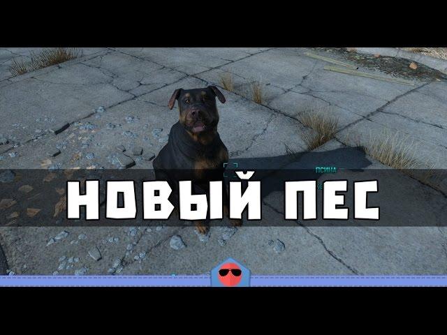 Fallout 4 [Моды] - Raider Dogmeat