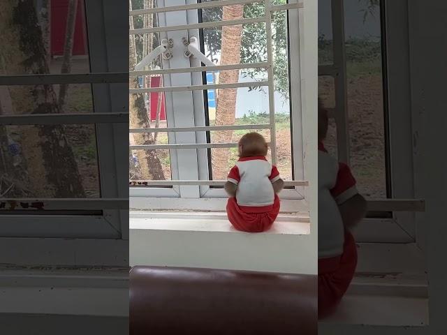Bibi obediently stays at home #babymonkey #monkey #viral #monkeybibi #bibi #shorts
