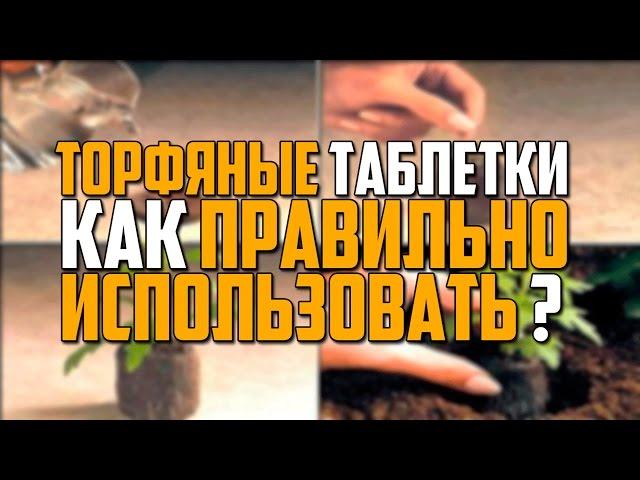 Торфяные таблетки. Как  правильно  использовать?