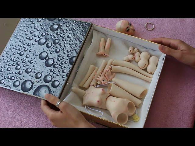 Tempest Doll bjd assembling - "Poison" | collector bjd doll full set