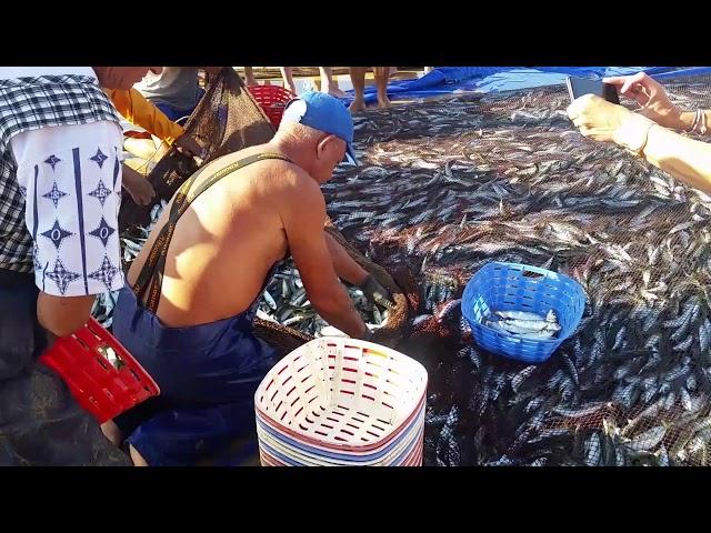 Costa de Caparica // Almada // Portugal fish // Рыбалка в капарике, возле лиссабона