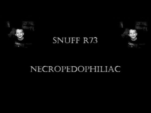Snuff R73 Review