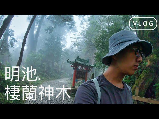 vlog | Mingchi Cilan Resort：Asia's Largest Giant Tree Park | Yilan, Taiwan【4K】