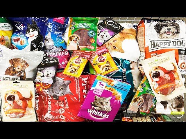 A Lot Of Candy for Cats and Dogs 2018 NEW #16 ASMR / АСМР Много сладостей для питомцев