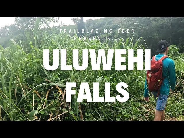 Kayaking to Kauai's Not So Hidden Gems: Uluwehi Falls (Secret Falls) & Fern Grotto Adventure