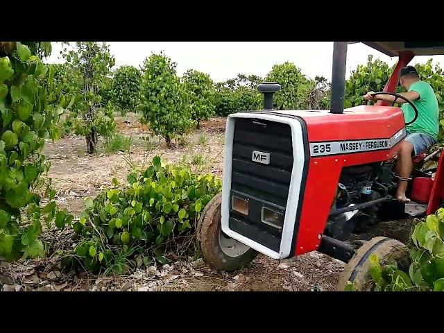 MASSEY FERGUSON 235 NO SUBSOLADOR