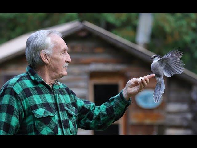 Finally! Martin's Back at the Cabin-Martin's Old Off Grid Cabin#231