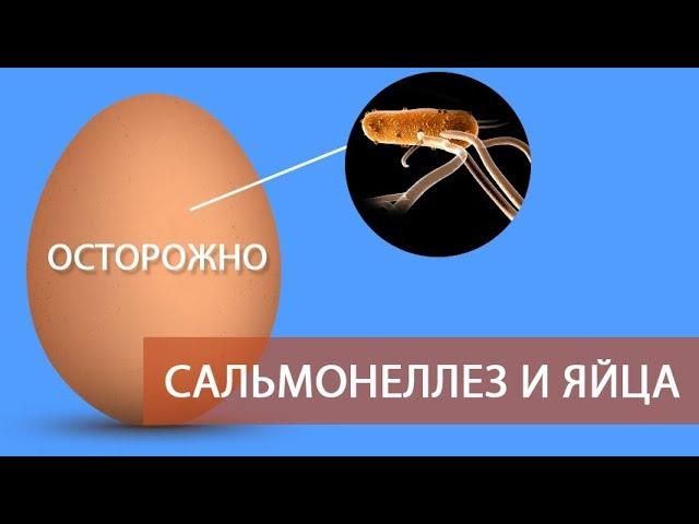 ОСТОРОЖНО: САЛЬМОНЕЛЛЕЗ и ЯЙЦА! (часть 5) \ Все про куриные яйца - должен знать каждый о сальмонелле