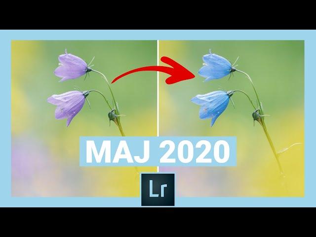 [MAJ LIGHTROOM 2020] Comment changer la couleur localement