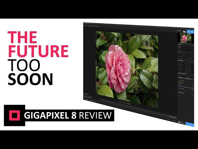 Gigapixel 8 Review - Tested, Timed, and Compared