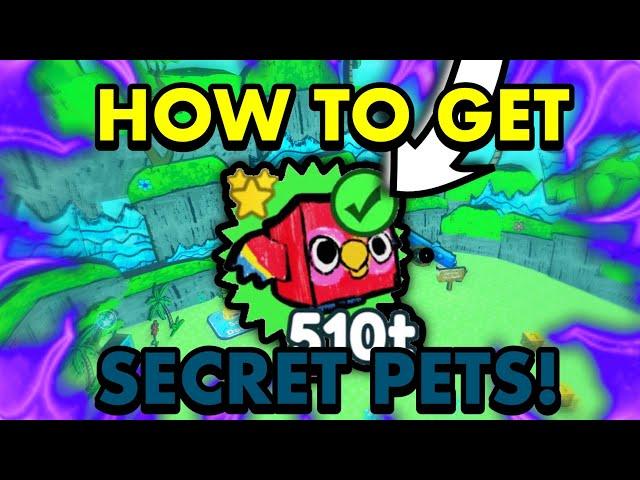 How To Get SECRET PETS! - Pet Simulator X | Doodle World