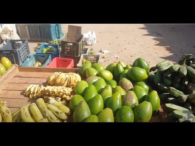 Куба Варадеро Цены на ФРУКТЫ местный фруктовый Рынок Санта-Марта Cuba Fruit Market 8 сентября 2019!!