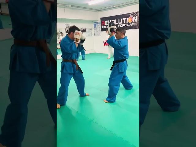 Building speed and coordination - kudo techniques #techniques #kudo #artimarziali  #padtraining