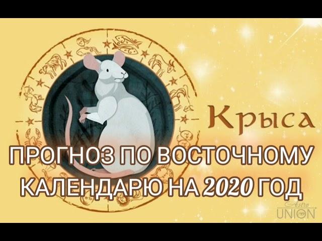 ПРОГНОЗ ДЛЯ КРЫСЫ(МЫШИ) НА 2020 ГОД/FORECAST FOR RAT (MOUSE) FOR 2020