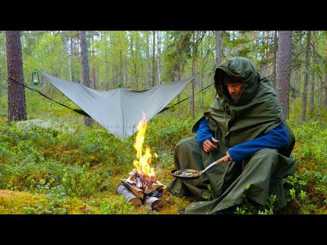 5 DAYS ALONE WITH NO FOOD - CAMPING  IN THE RAIN - LIVING OFF THE LAND