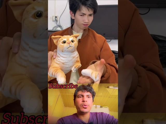 cute cat funny video  #funny #fails #comedy