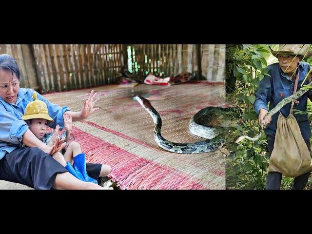 The Elephant Boy and his aunt were startled when they saw a big snake in the house