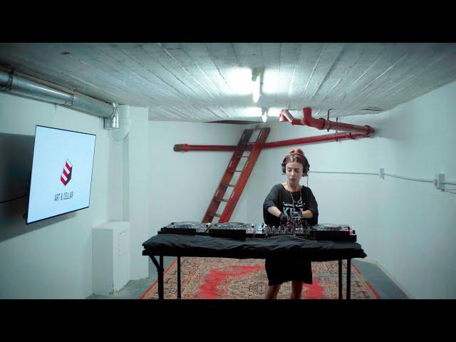 Gina Demarchi   Art & Cellar Session #20