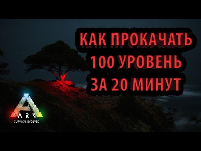 САМАЯ БЫСТРАЯ ПРОКАЧКА - КАК ПРОКАЧАТЬ УРОВЕНЬ- Ark Survival Evolved