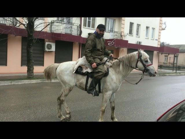 Всадник на белом коне - Нальчик,КБР