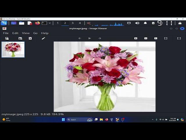 Steghide Install - Embed Files Into Images - Linux