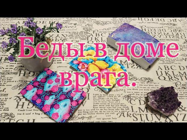 Дрязги в доме врага/человека. Общий расклад.