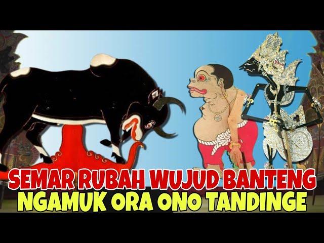 SEMAR BODRONOYO RUBAH WUJUD BANTENG NGAMUK SAKTI TANPO TANDING KI SENO NUGROHO