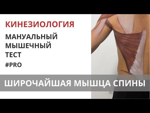 ШИРОЧАЙШАЯ МЫШЦА СПИНЫ. Мануальный мышечный тест. Прикладная кинезиология. m. Latissimus dorsi