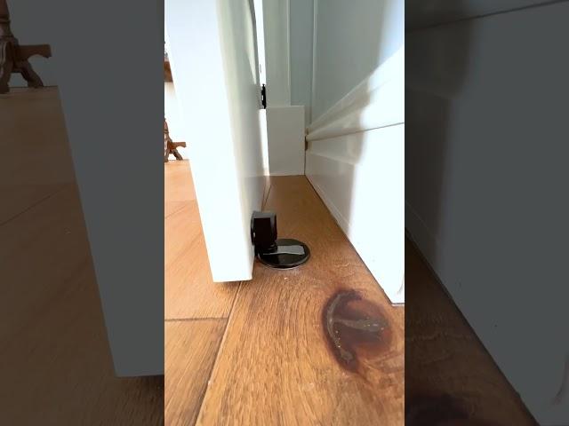 Magnetic Door Stop and Hold - What Do You Think #shorts