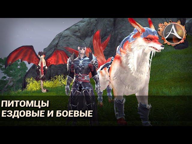 ArcheAge 6.1. Самые полезные ездовые и боевые питомцы