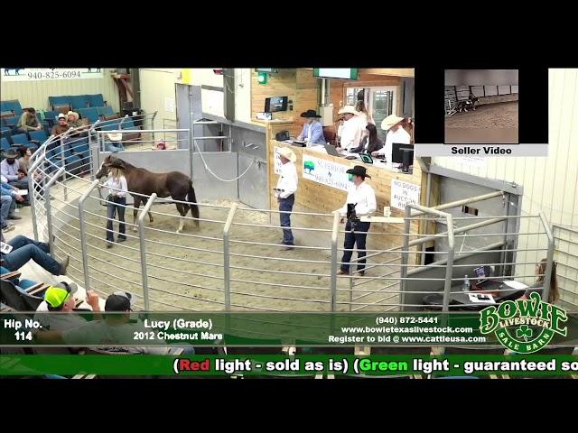 Bowie Texas Livestock October 5th Catalog Sale!