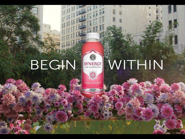 SYNERGY Raw Kombucha – Begin Within — GT’s Living Foods