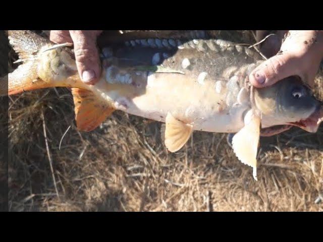 Рыбалка в Херсонской области