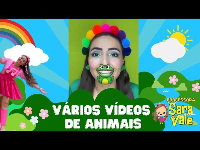 Músicas de animais - Professora Sara do Vale - PARTE 1. Vários vídeos juntos