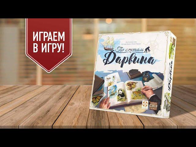 ПО СТОПАМ ДАРВИНА | играем в настольную игру