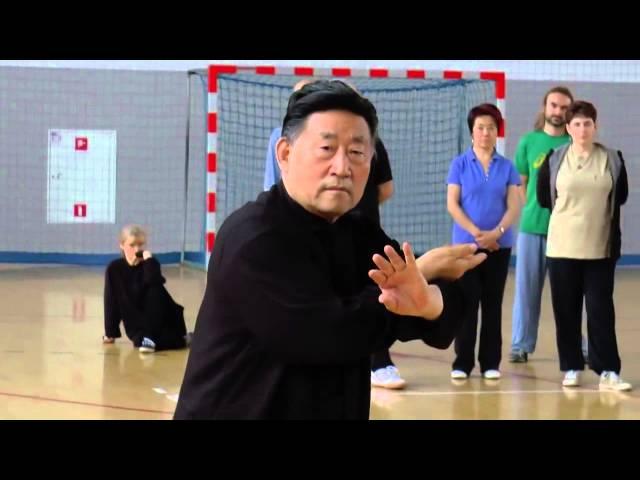 Tai Chi Forms 2 - Chen Xiao  Wang