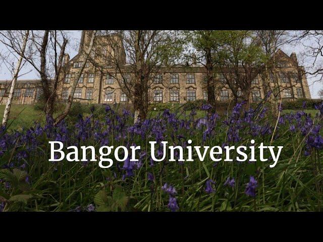 Bangor University| Walk Around Bangor University @bangoruniversity  International Student in UK